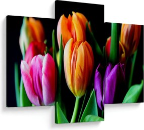 Obraz tulipánov na čiernom pozadí (90x60 cm)