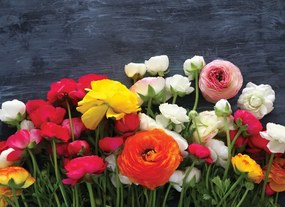 Manufakturer -  Tapeta Cut flowers