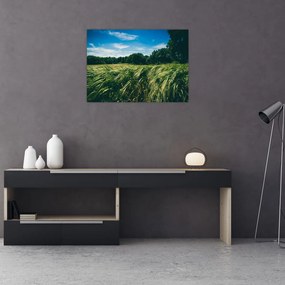 Sklenený obraz lúky a lesa (70x50 cm)