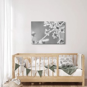 Obraz - Zamrznutá rastlina (90x60 cm)