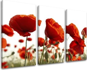 Obraz na stenu 3 dielny KVETY XOBKV118E30 - 90x60 cm
