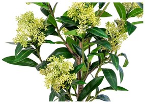Umelá rastlina Skimmia – House Nordic