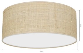 Stropné svietidlo Marshall, 1x ratanové tienidlo, (biele plexisklo), (fi 40cm)