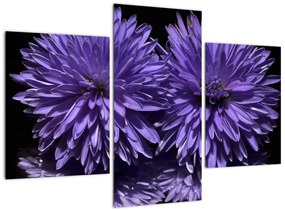 Obraz fialových kvetov