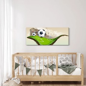 Obraz - Futbalové ihrisko (120x50 cm)