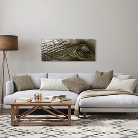 Obraz - Detailné fotografie starého slonieho oka (120x50 cm)