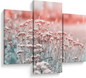 Obraz - Lúčne kvety (90x60 cm)