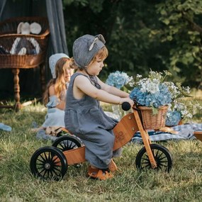 Drevené balančné odrážadlo Tiny Tot 2v1 drevená