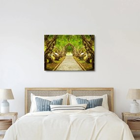 Obraz - Živý tunel z plumérií (70x50 cm)
