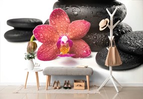Samolepiaca tapeta červená orchidea so zen kameňmi