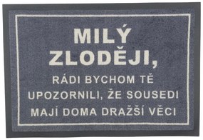 GDmats, Rohožka Milý zlodeji 40x60 cm – na von aj na doma, 40x60, šedá