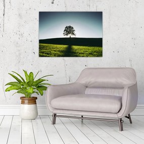 Sklenený obraz prírody - strom (70x50 cm)