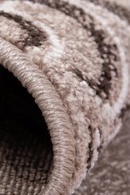 Koberec MIRA 24031/234