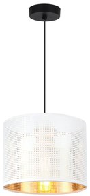 Závesné svietidlo Asti0, 1x biele PVC tienidlo, (fi 20cm), g, b