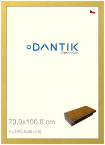 DANTIK rám na obraz 70x100 | RETRO žlutá (Plexi Čiré)