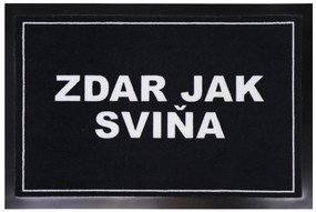 Rohožka Zdar jak sviňa 40x60 cm – na von aj na doma, 40x60, čierna, Mercury Flooring