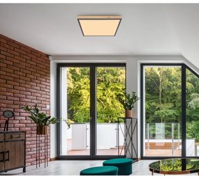 Globo 416080WD2 - LED Stropné svietidlo DORO LED/24W/230V