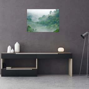 Obraz - Ranná hmla (70x50 cm)