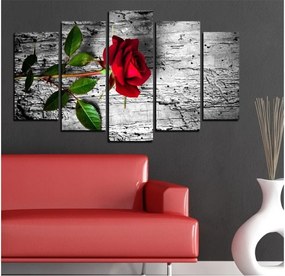 Viacdielny obraz Insigne Qolio, 102 × 60 cm