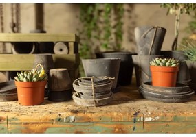 Set 3 misiek pod kvetináč z terakoty Esschert Design