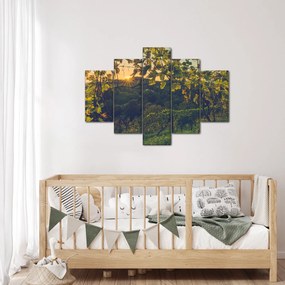 Obraz - Vinice (150x105 cm)