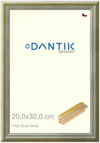 DANTIK rám na obraz 20x30 | Y-ka žlutá linka (Sklo Čiré)
