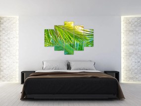 Obraz - Palmové listy (150x105 cm)