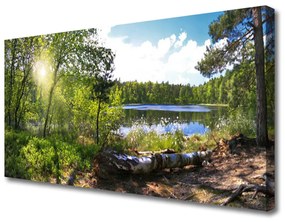 Obraz Canvas Les stromy jazero príroda 125x50 cm