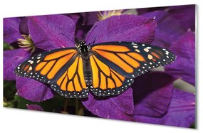 Obraz na akrylátovom skle Farebný motýľ kvety 140x70 cm