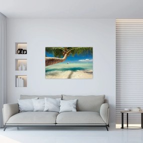 Obraz - Čisté more s palmou (90x60 cm)