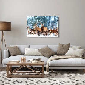 Obraz - Stádo jeleňov (90x60 cm)
