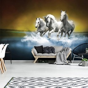 Fototapeta - Biely kôň tryskom na vode (254x184 cm)
