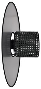 Duolla - Nástenné svietidlo TOKYO RATTAN 1xE27/15W/230V pr. 50 cm strieborná/čierna