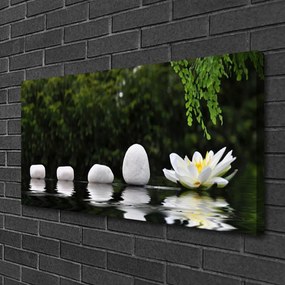 Obraz na plátne Kamene kvet umenie 125x50 cm