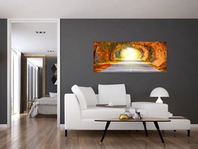 Obraz - Brána z korún stromov (120x50 cm)