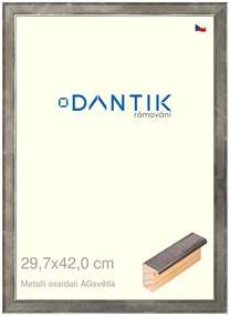 DANTIK rám na obraz 29,7x42 | Metalli oidati AGsvětlá (Plexi Čiré)