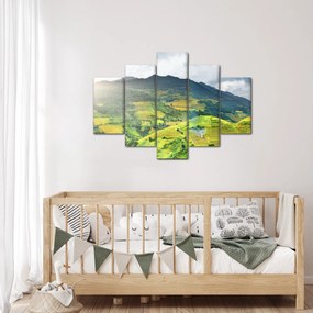 Obraz plantáže (150x105 cm)