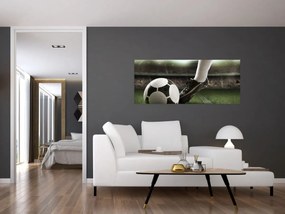 Obraz - Futbalová lopta (120x50 cm)