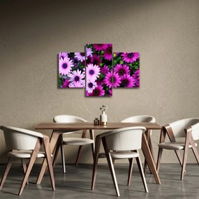 Obraz - Kvety (90x60 cm)