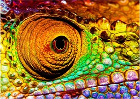 Obraz - Chameleon (70x50 cm)