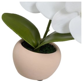 Umelé rastliny v súprave 3 ks (výška 15 cm) Orchid – Casa Selección
