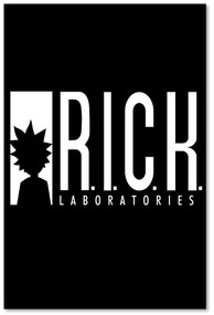 Gario Obraz na plátne Animovaný seriál R.I.C.K. labs - Dr.Monekers Rozmery: 40 x 60 cm