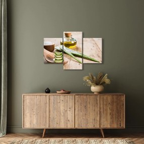 Obraz - Aloe vera (90x60 cm)
