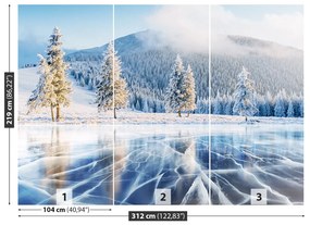 Fototapeta Vliesová Zamrznuté jazero 208x146 cm