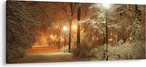 Obraz - Zasnežený park (120x50 cm)