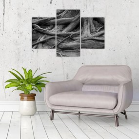 Obraz - Korene stromu (90x60 cm)