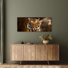 Obraz tigra (120x50 cm)