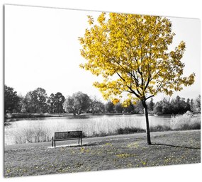Sklenený obraz - Odpočinok v parku (70x50 cm)