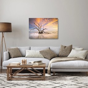 Sklenený obraz stromu v oceáne (70x50 cm)