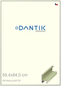 DANTIK rám na obraz 59,4x84 | ALU Dýha barevná zelená pastel (Plexi Čiré)